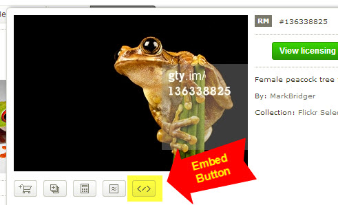 Getty Embed Code Button