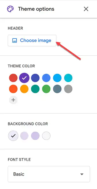 Customize Theme Options