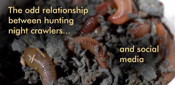 The odd relationship between hunting night crawlers and social